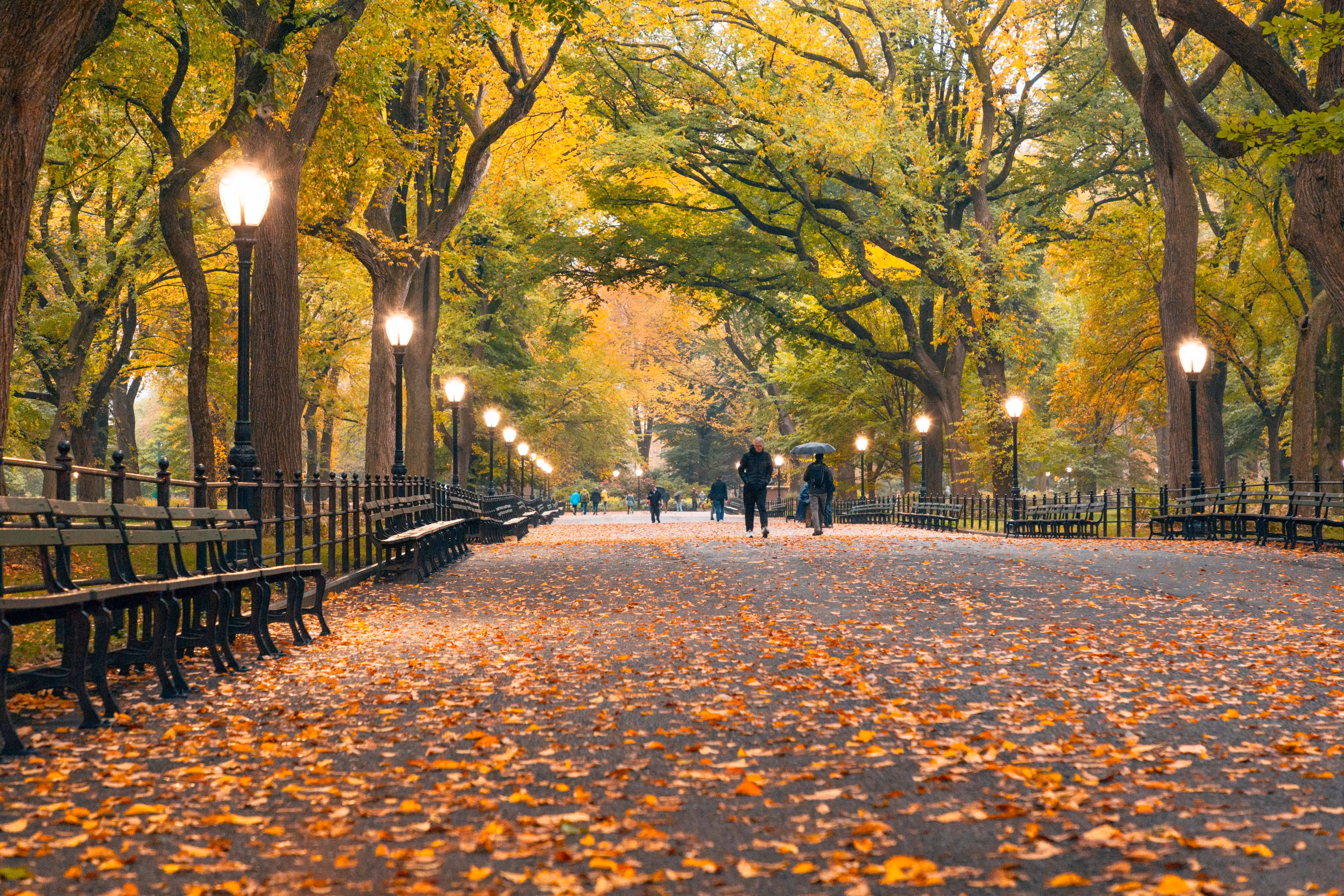 Central Park Bike Rentals