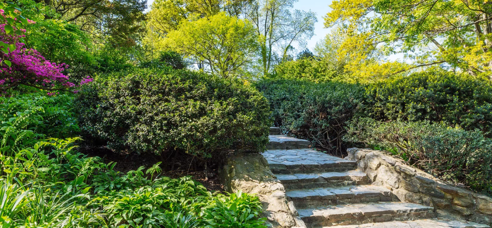 Central Park Walking Tours