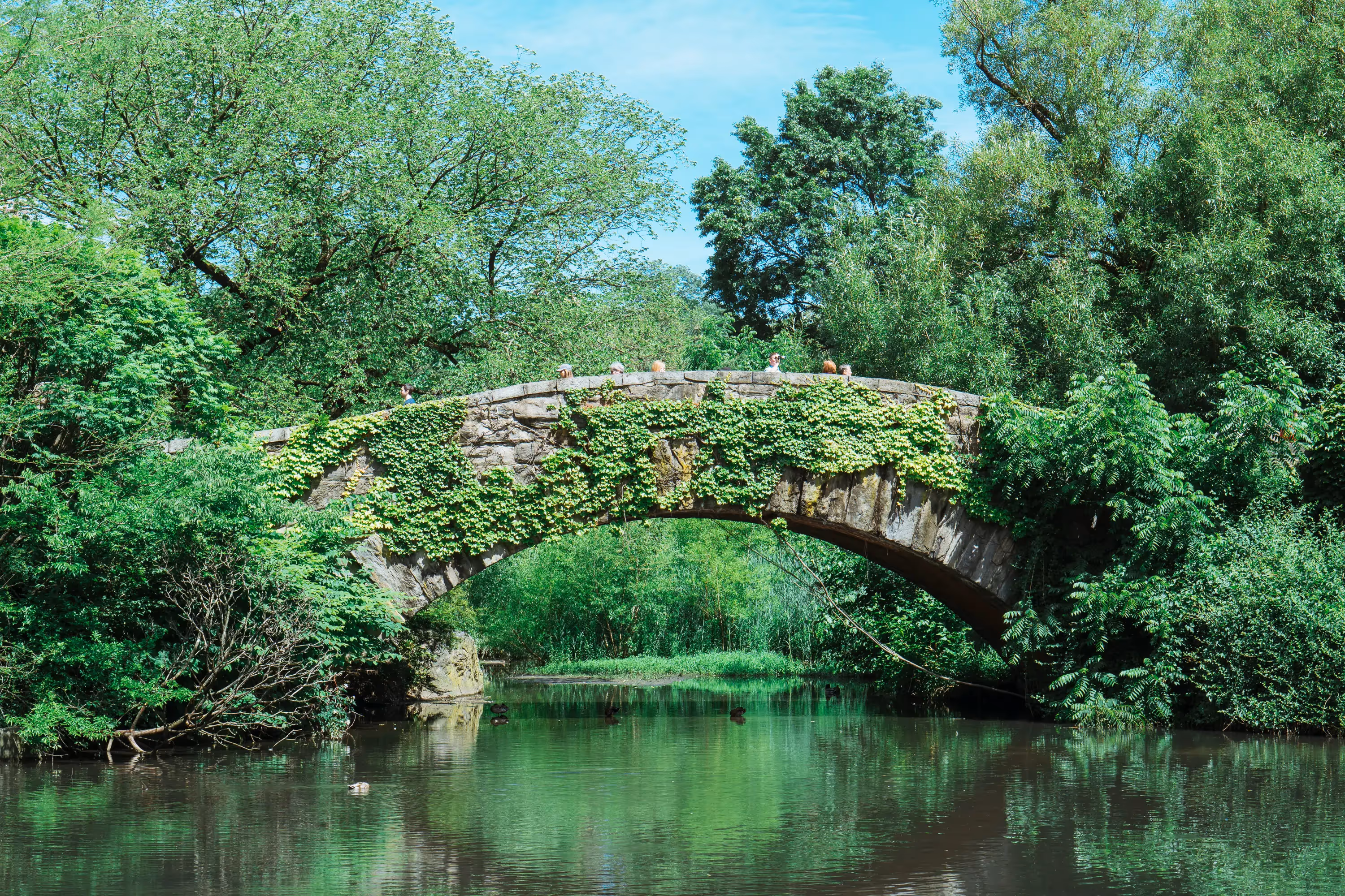 Central Park Walking Tours