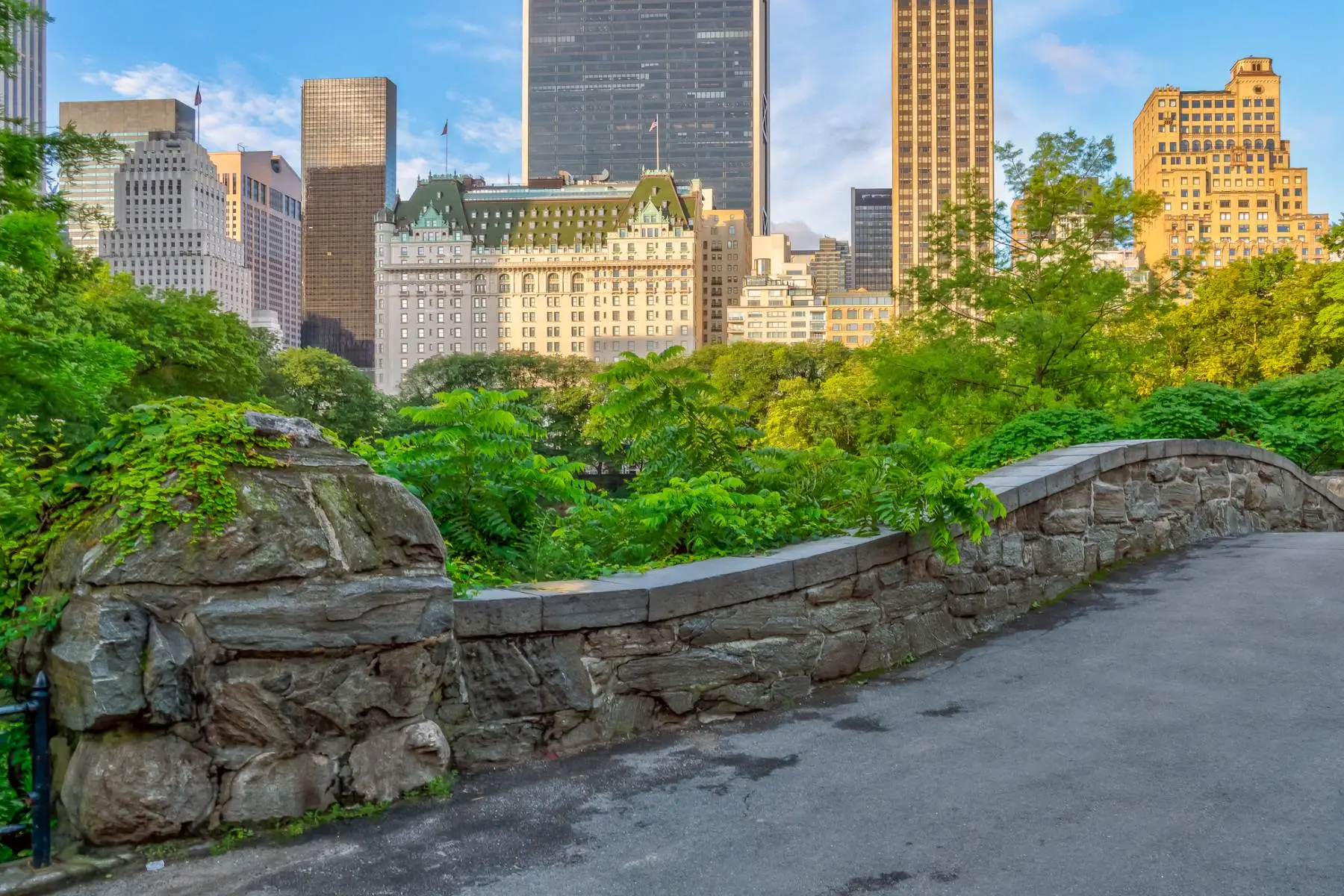 Central Park Bike Rentals