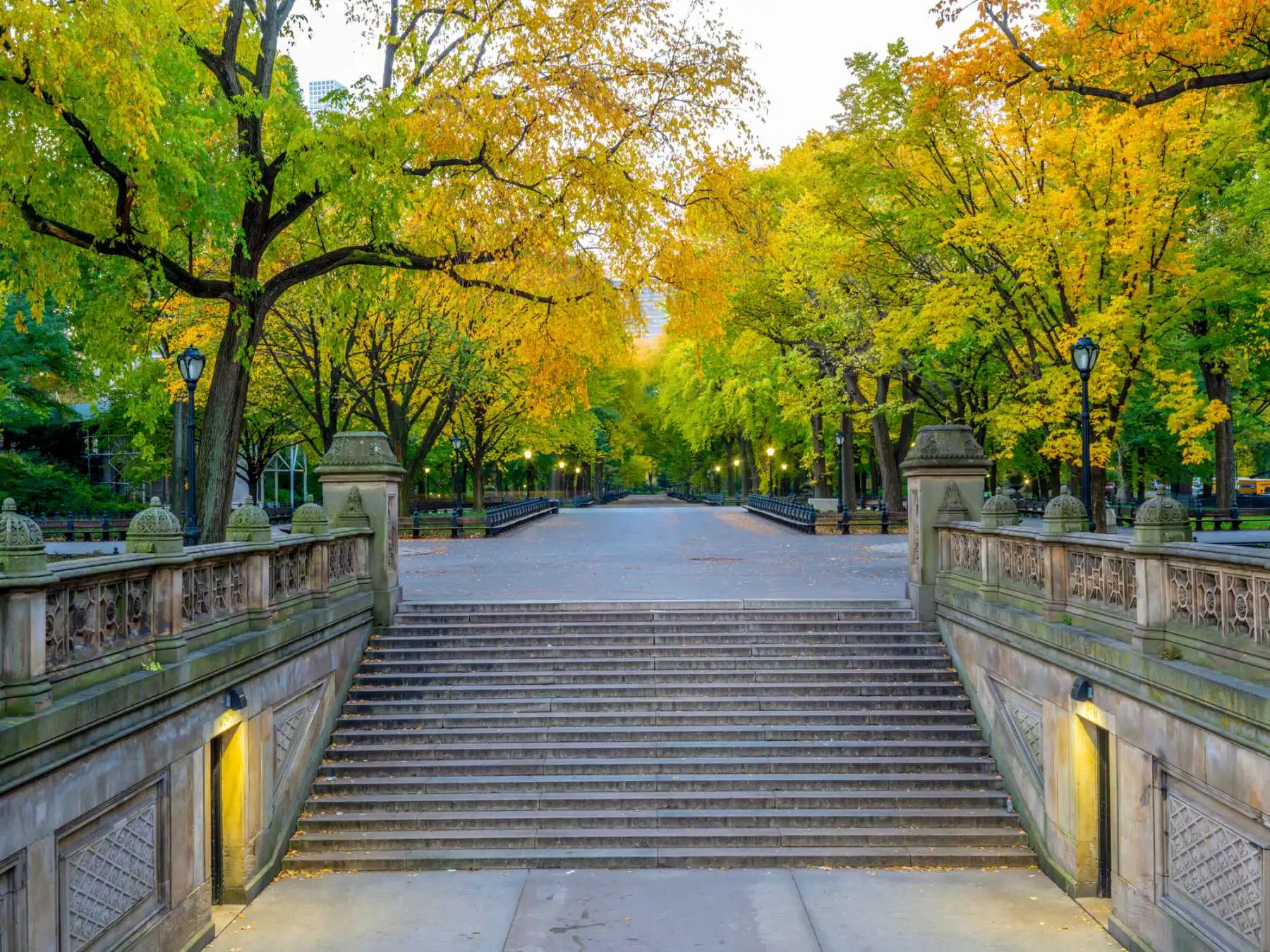 The Mall and Literary Walk in Central Park