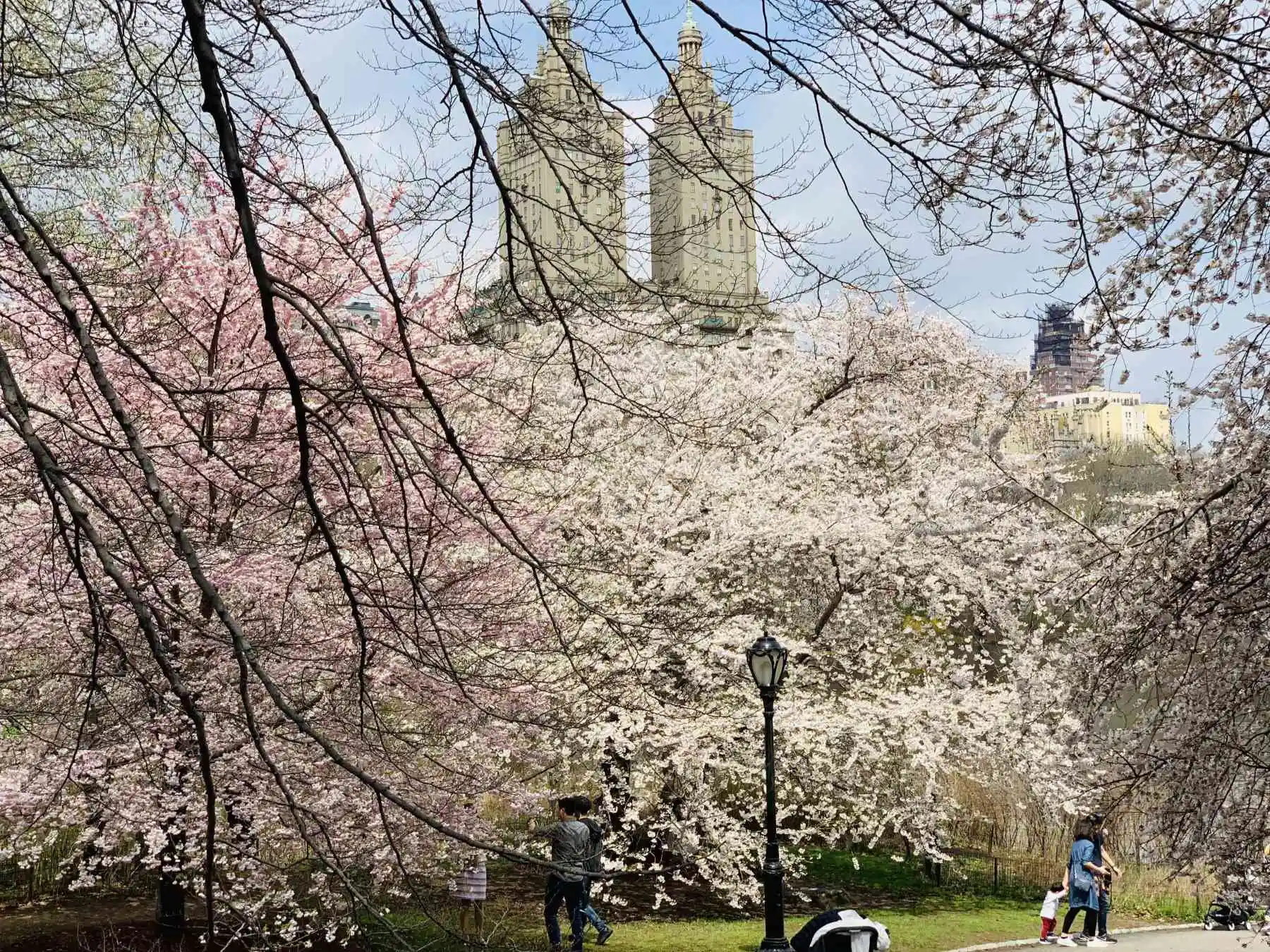 Cherry Hill in Central Park