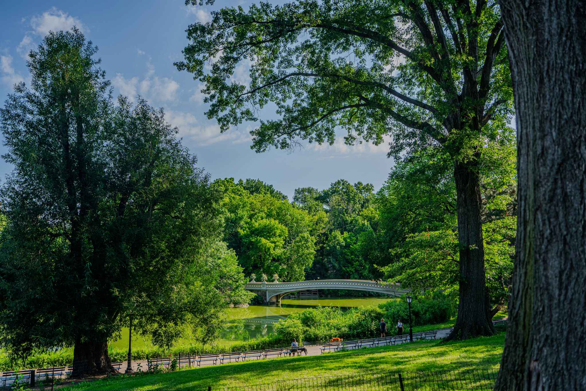Central Park