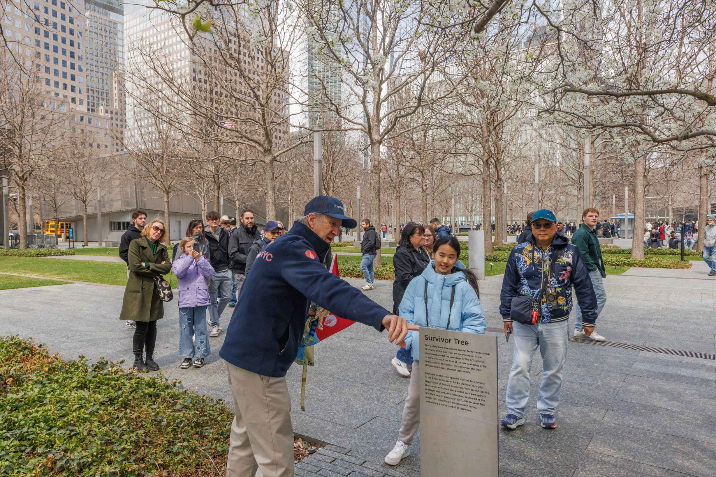 Survivor Tree plaque in Ground Zero NYC
