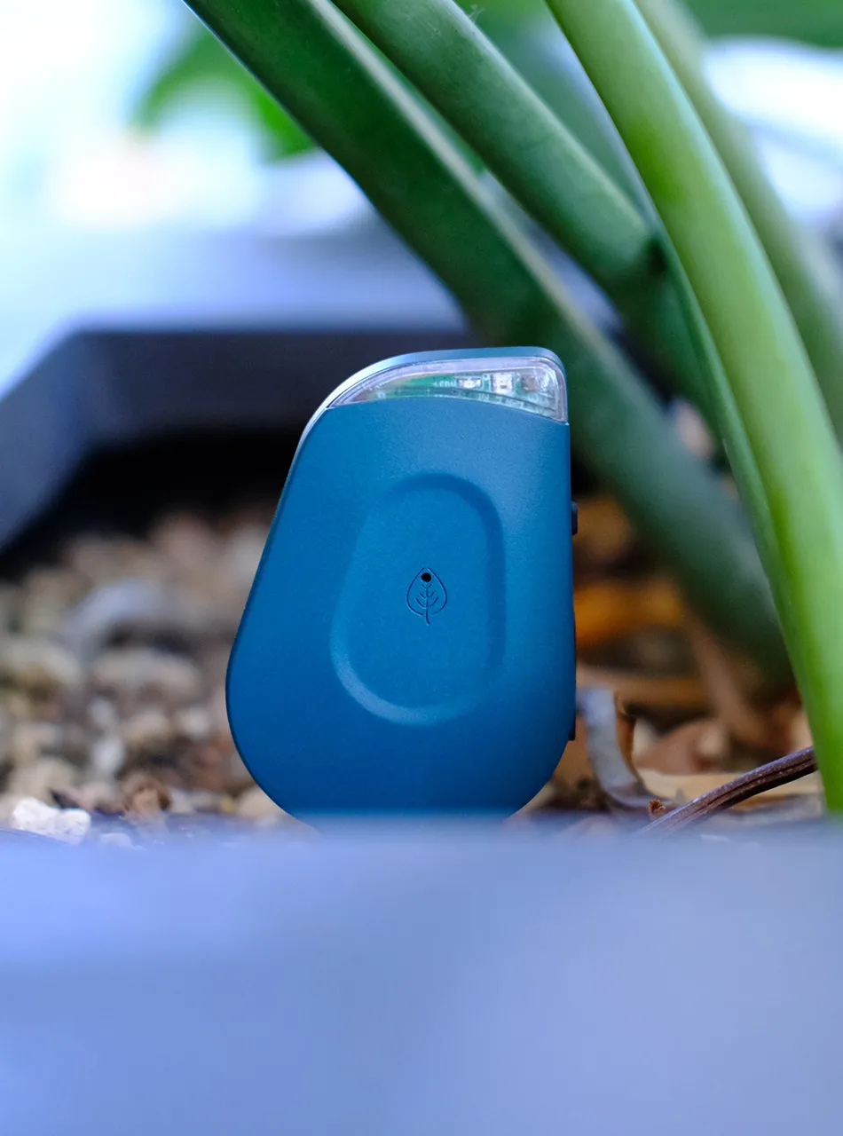 SmartyPlants sensor device and packaging arranged on a light background.