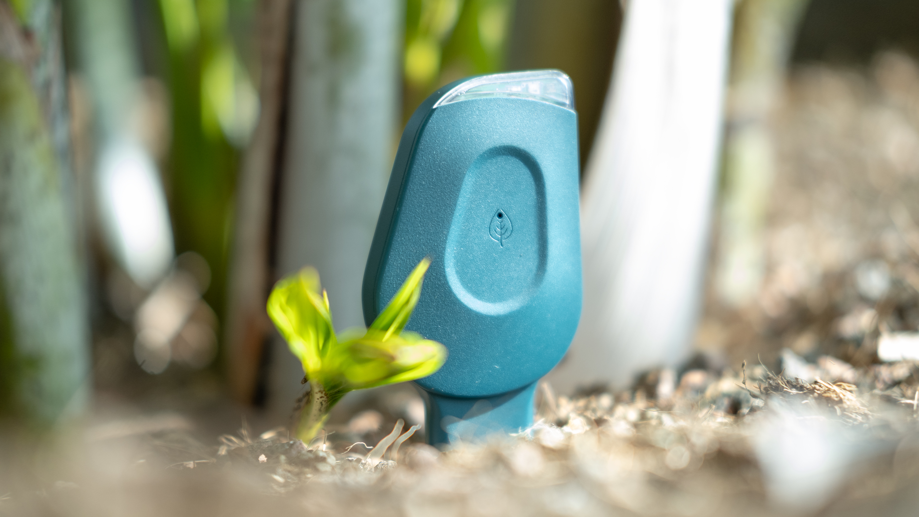 Prototype of SmartyPlants product with a large potted plant.