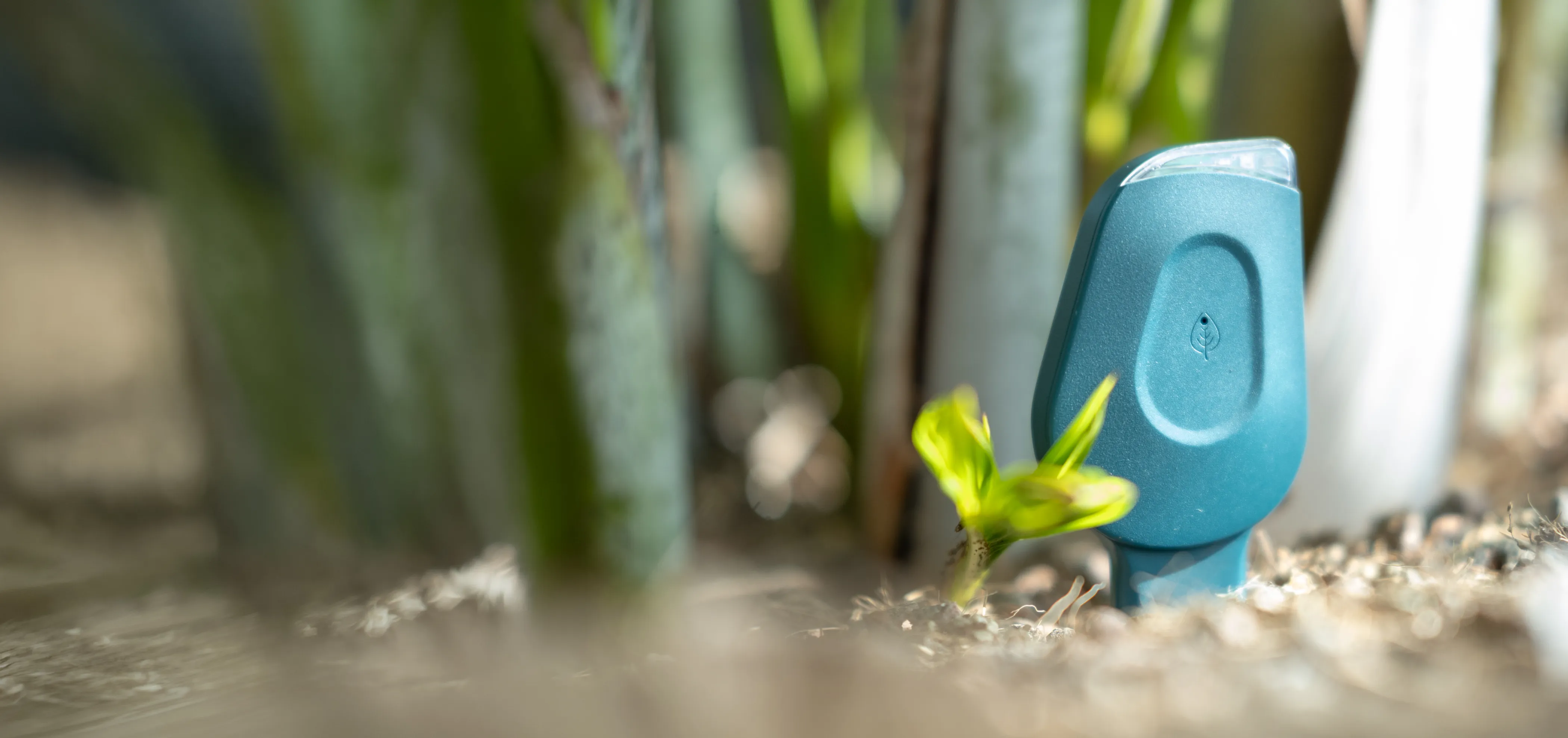Prototype of SmartyPlants product with a large potted plant.