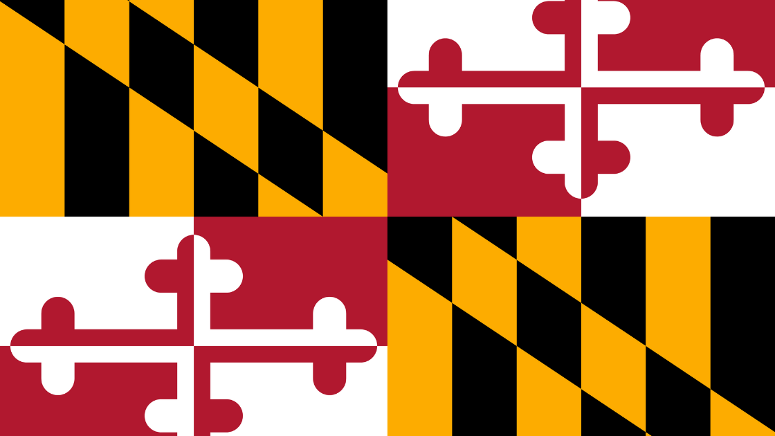 Minesota state flag.