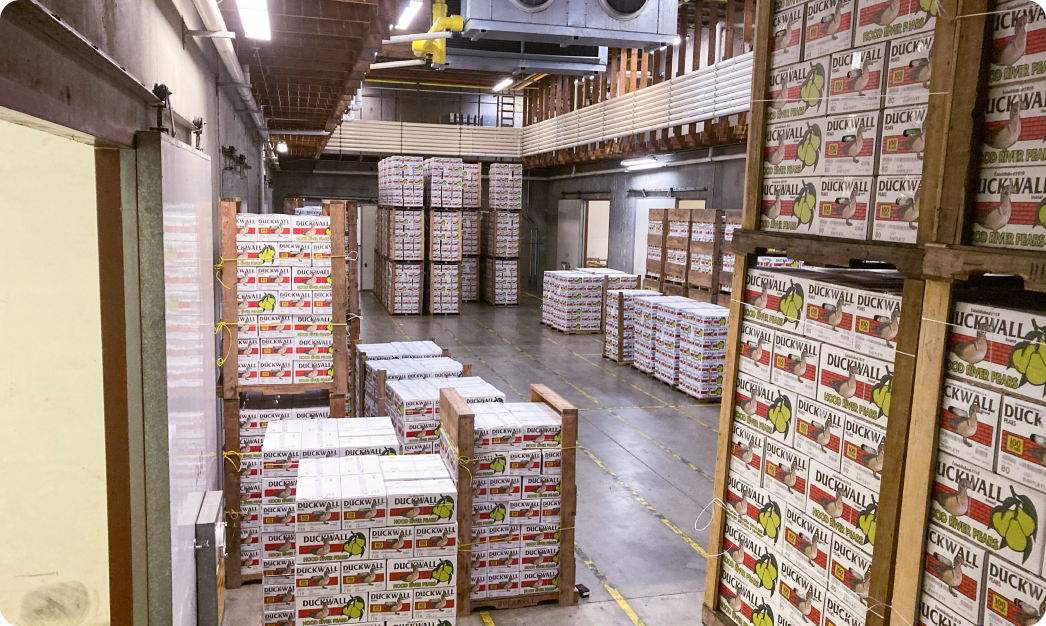 A warehouse filled with boxes of produce