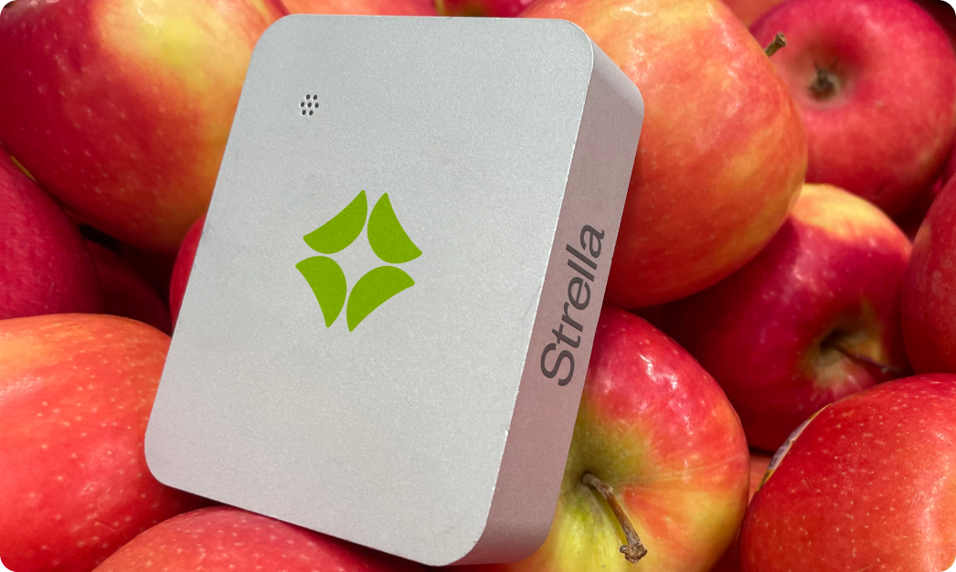 Strella sensor in a box of apples