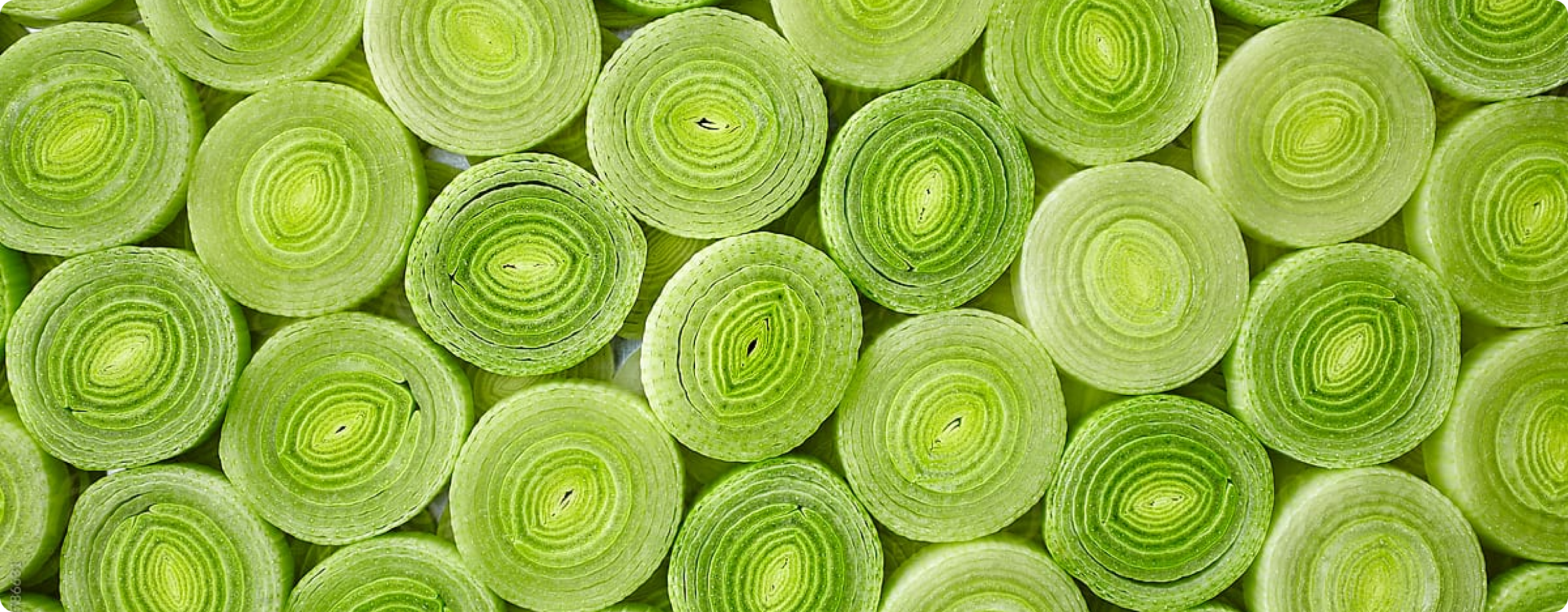 close up shot of chopped up leeks stacked on top of each other