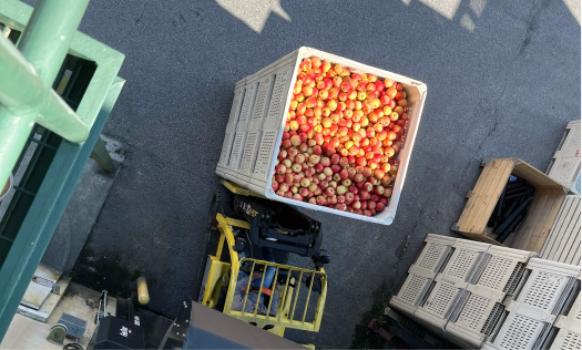 An overhead shot of a worker using a forklift to move many boxes of apples