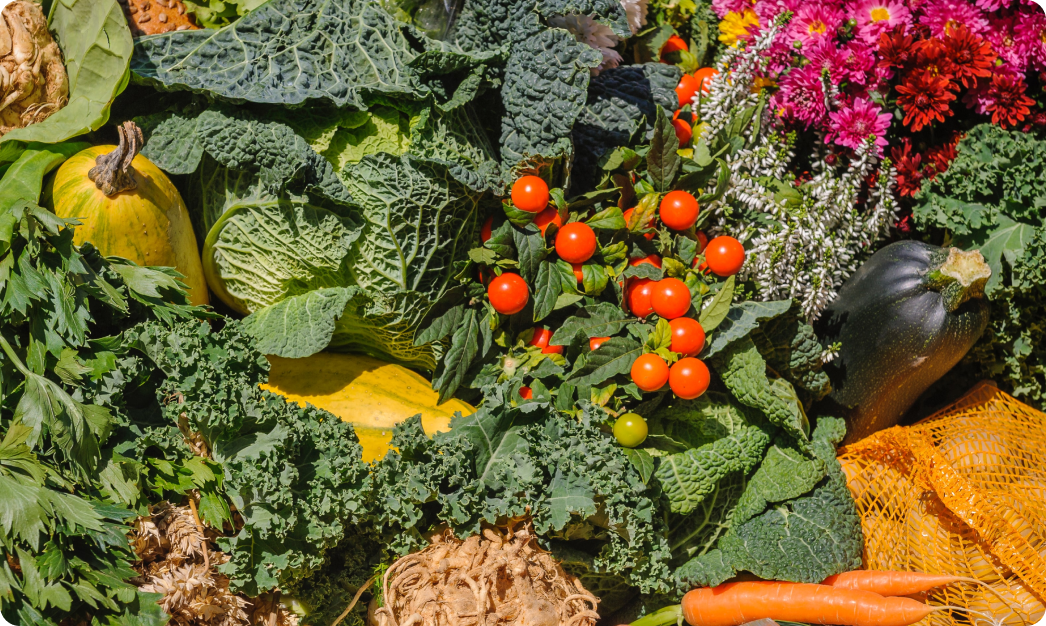 An upclose image of various product like kale, tomatoes, and carrots