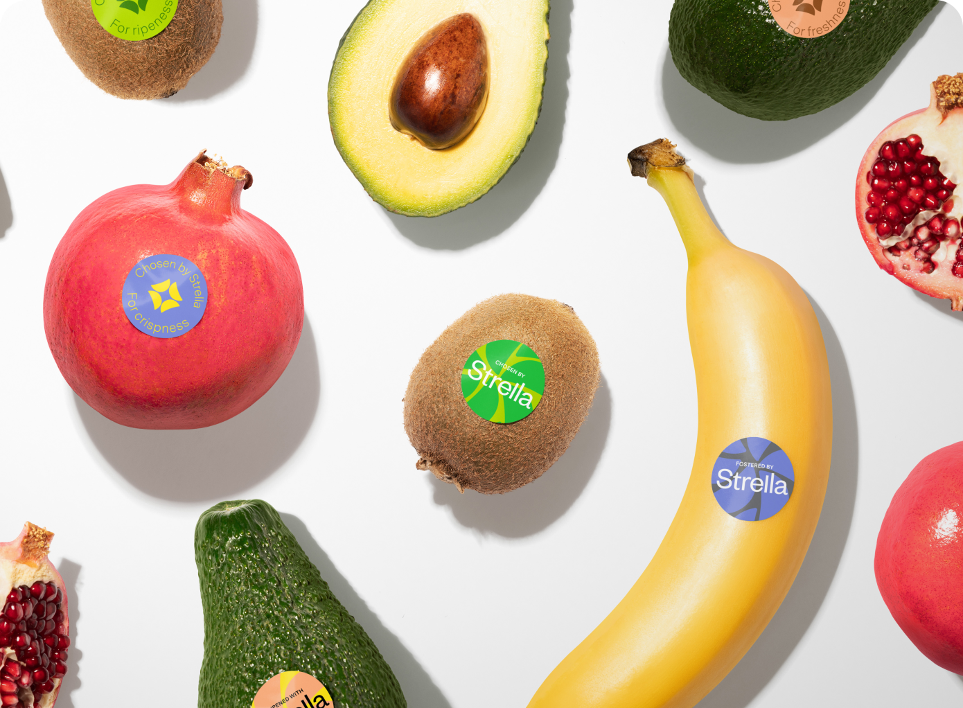A flatlay of various fruits that have the Strella stickers on them