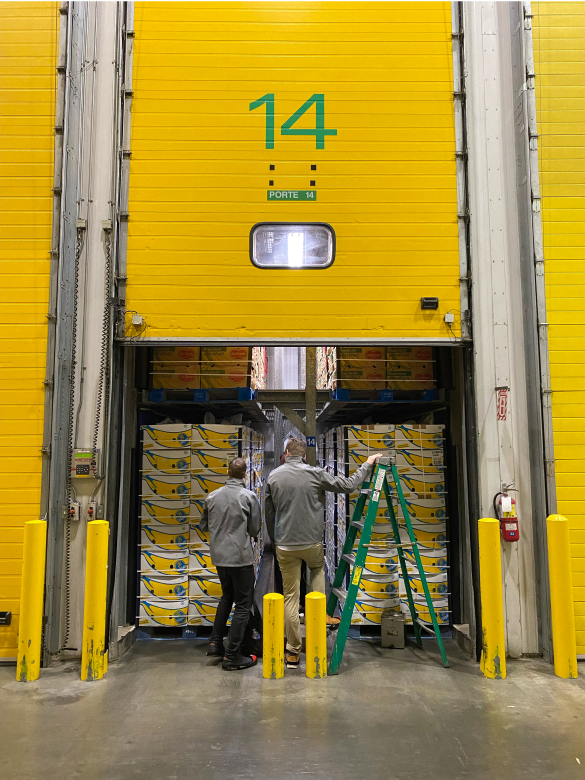 Two men standing in front of many boxes of produce
