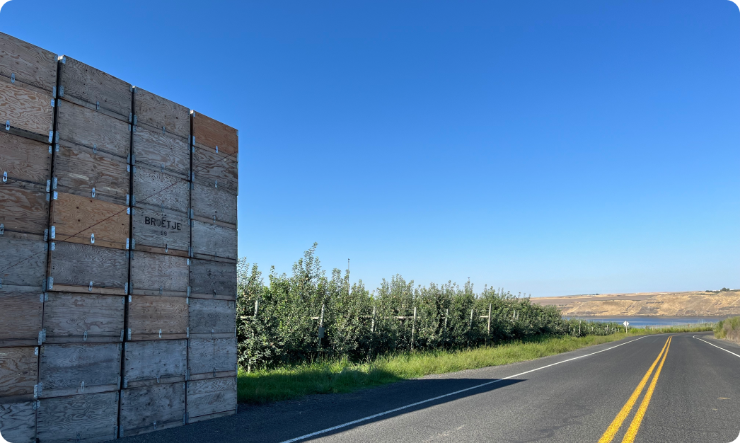 Produce boxes on the side of the road