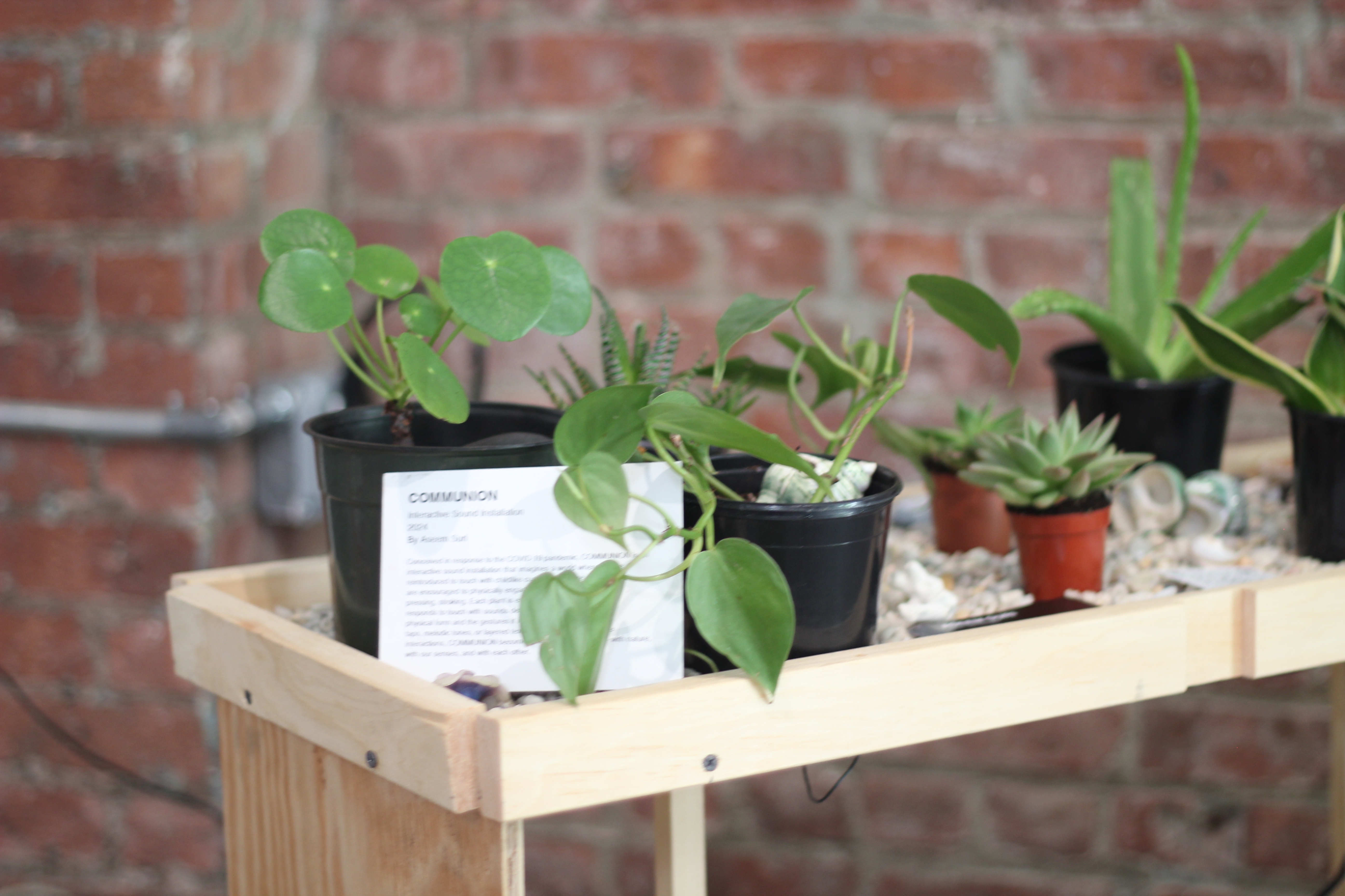 Communion at Restance Festival