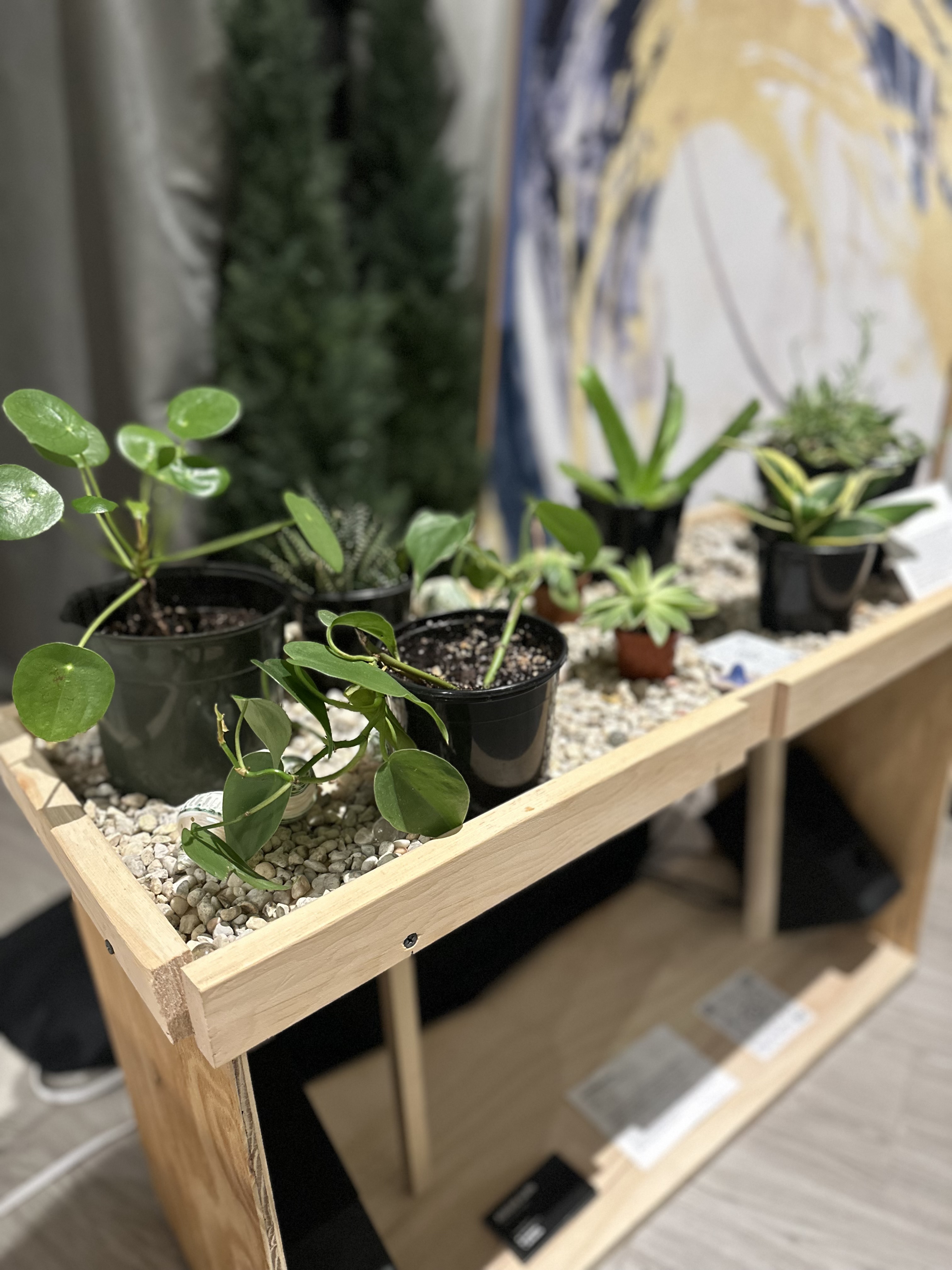 Communion at Albertoluzzi Jewelry