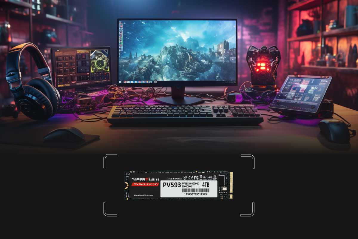 PV593 PCIe Gen5 x4 M.2 2280 SSD