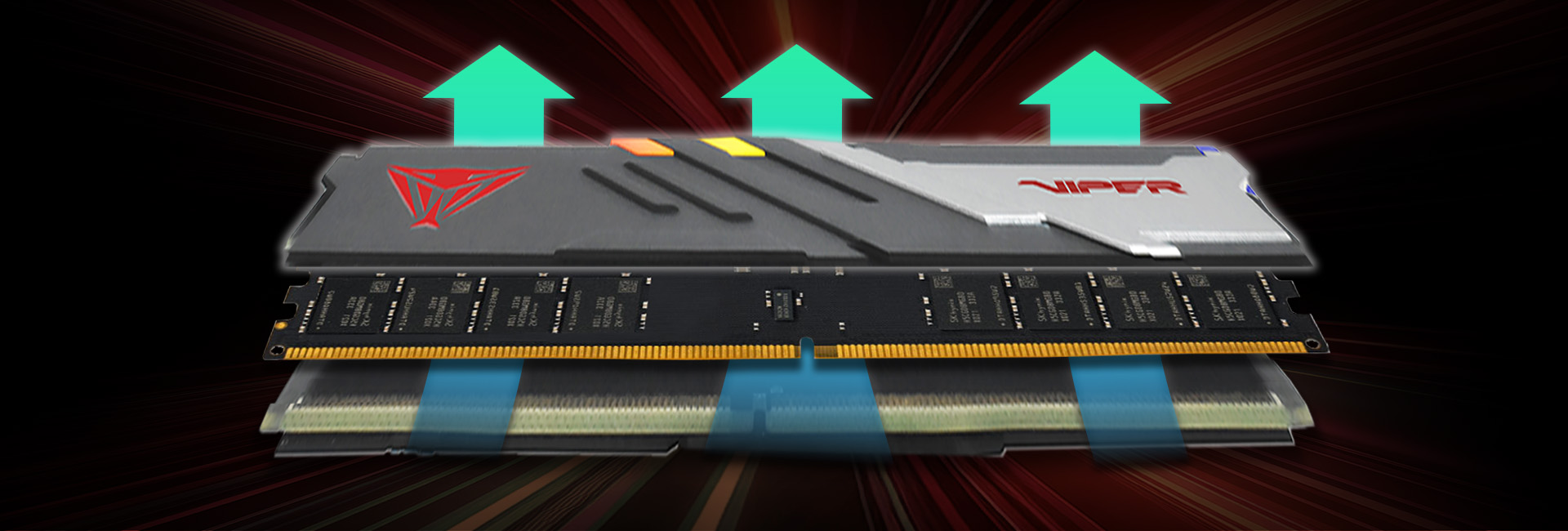 Viper Venom RGB & Non-RGB DDR5 Performance DRAM