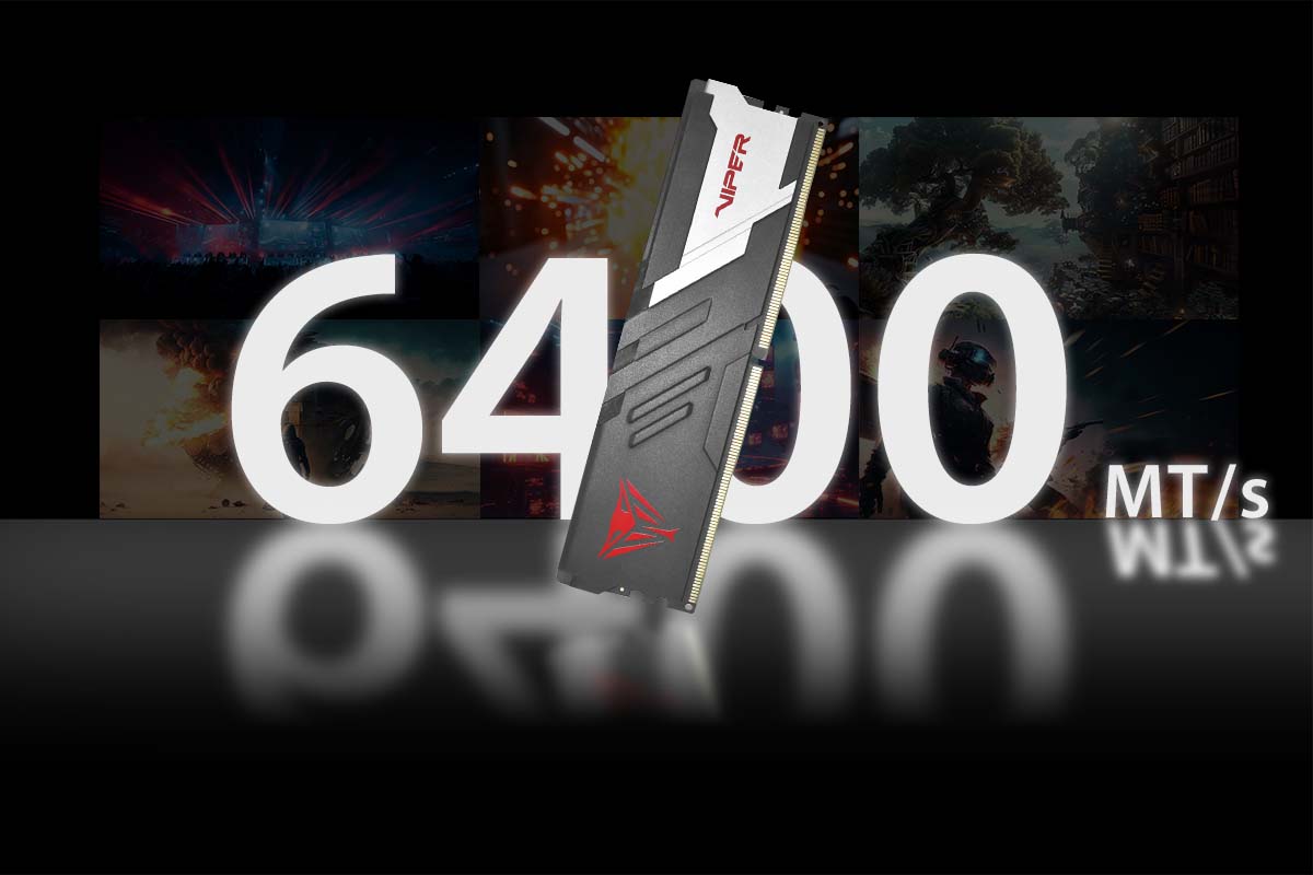 Viper Venom Non-RGB DDR5 AMD Series