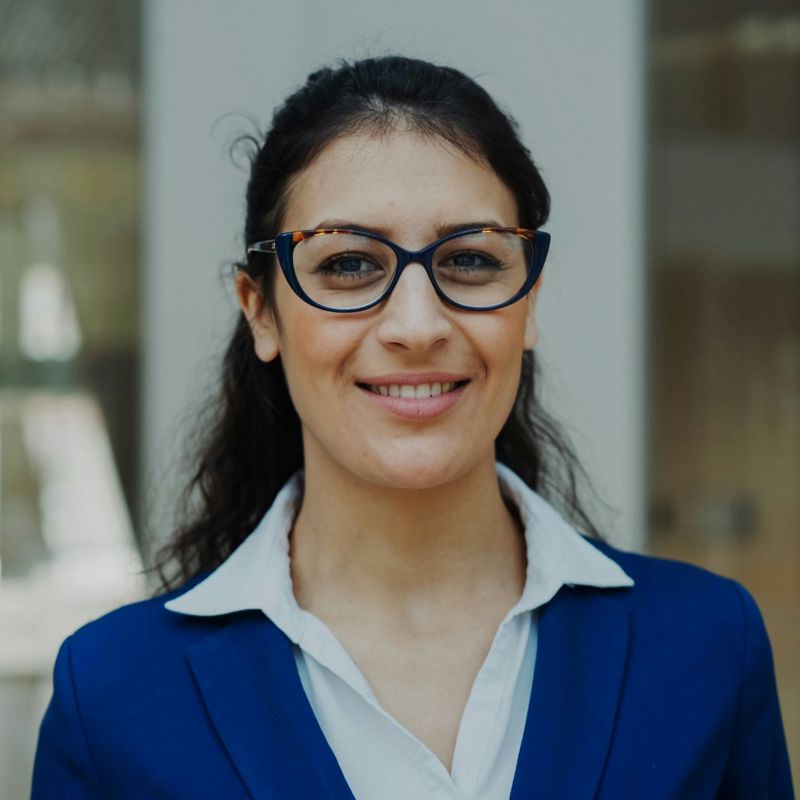 Example persona: Sara, an AI engineer