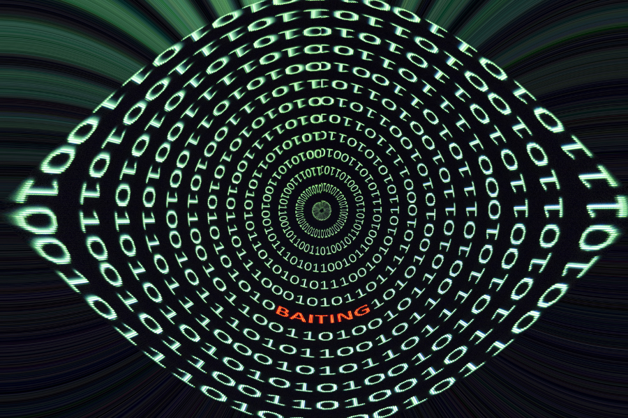What type of social engineering targets senior officials