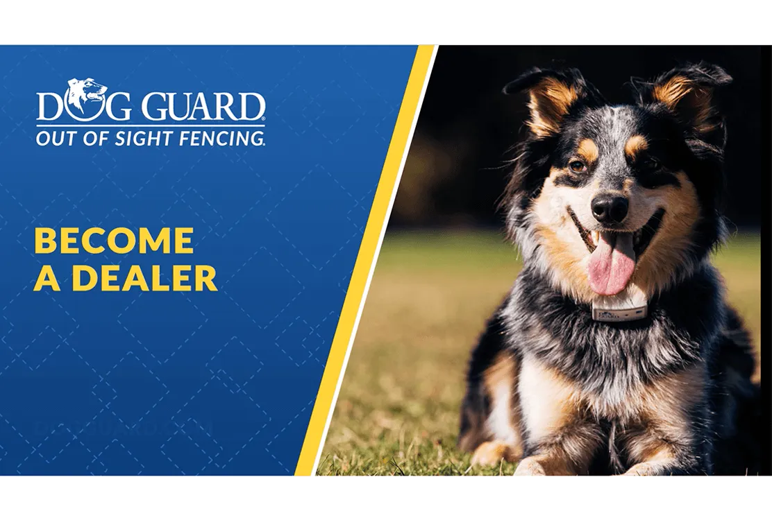 Video about Becoming a Dog Guard Dealer