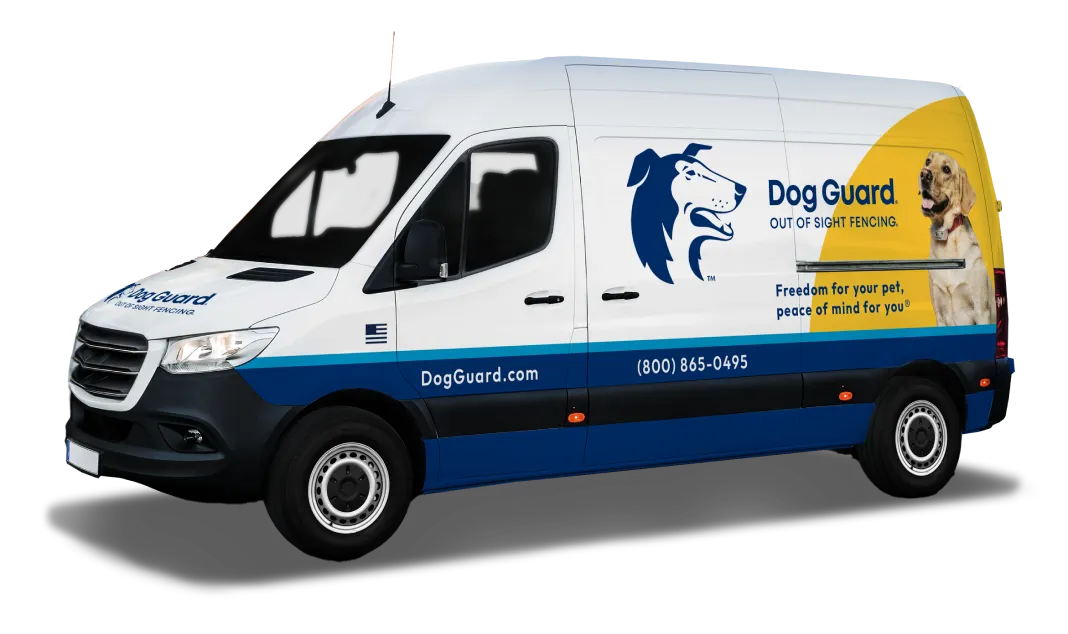 Dog Guard business vehicle