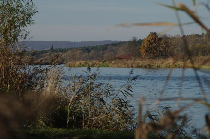 wedkowanie-w-lipowej-obok-zatora