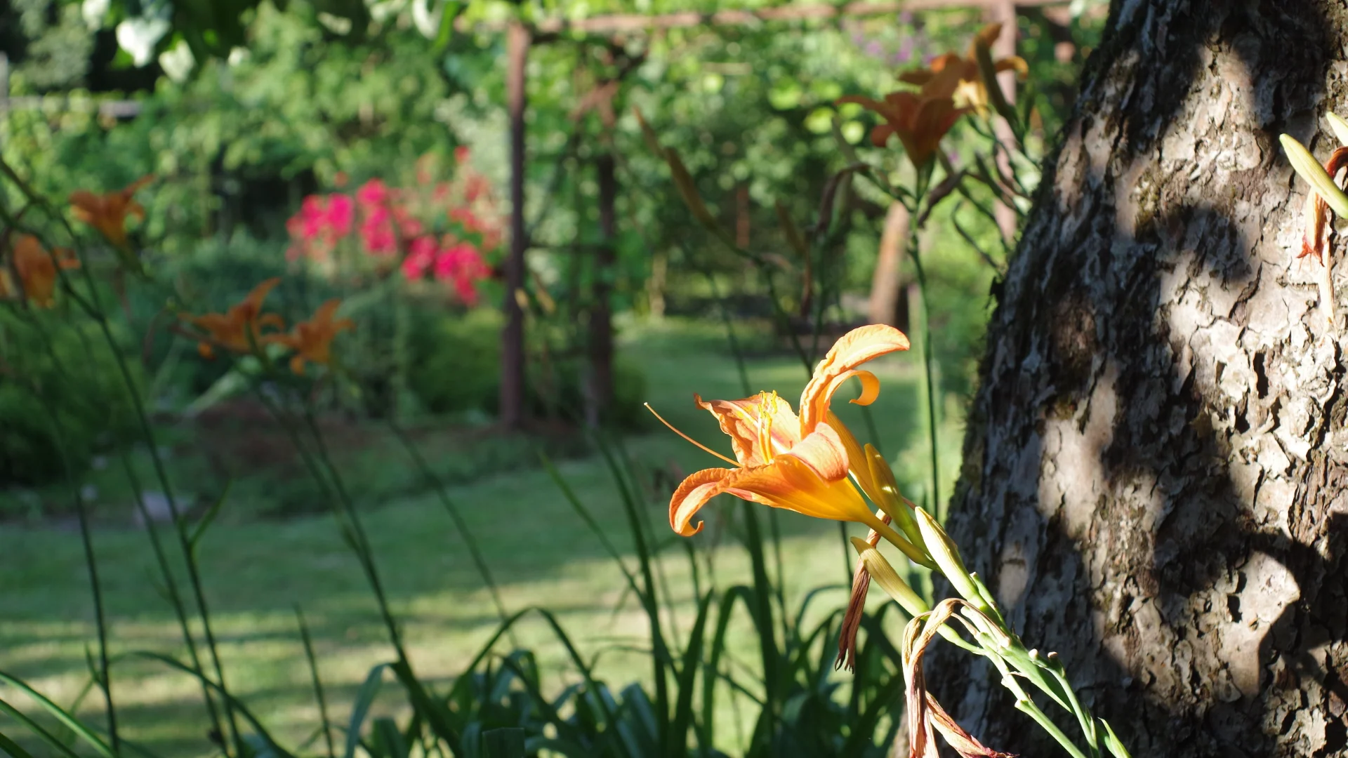 pokoje wakacyjne zator