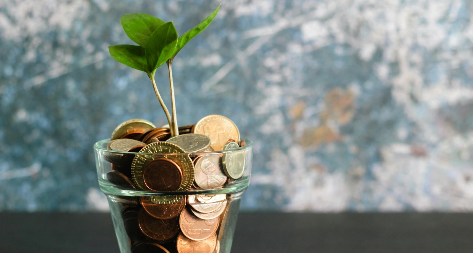 Muda de planta crescendo em vaso com moedas