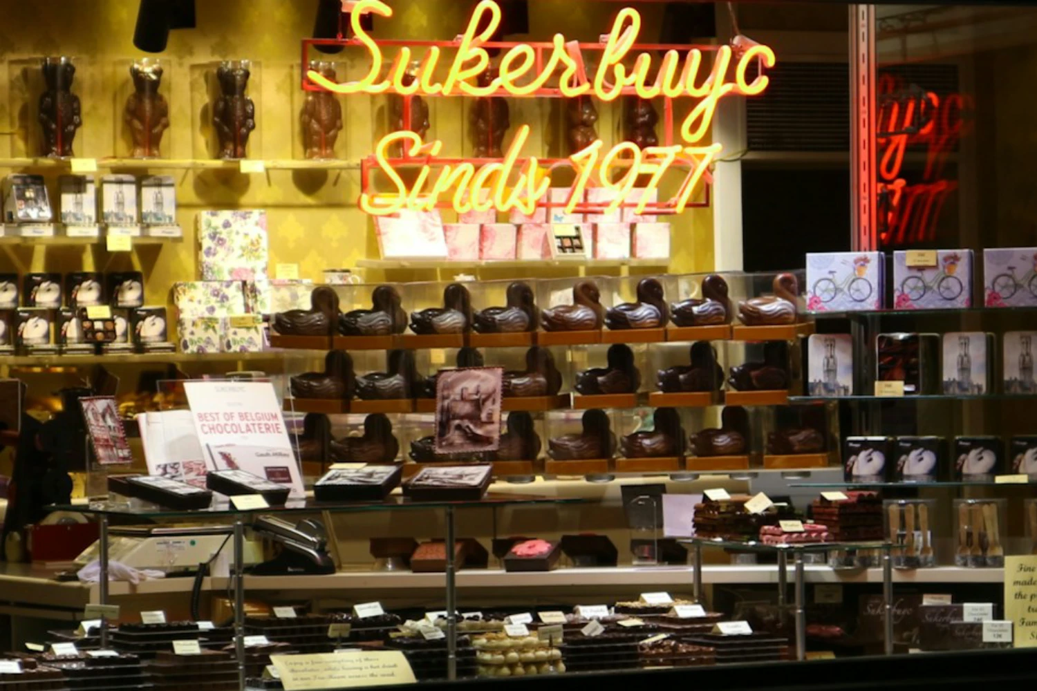 Chocolates artesanais expostos em loja de chocolate em Bruxelas, Bélgica
