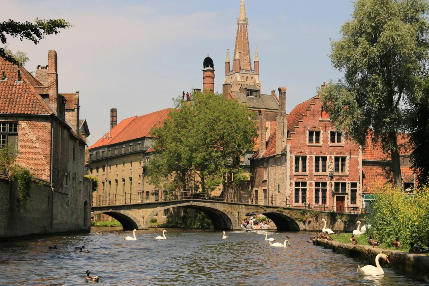 Vista de canal em Bruges com cisnes na água e casas medievais ao fundo