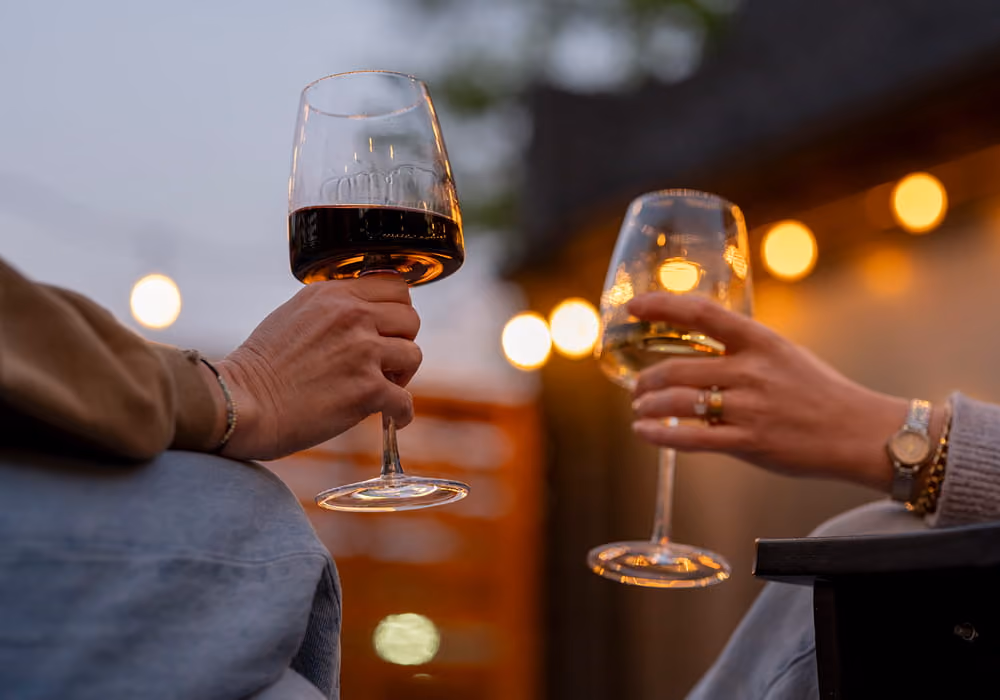 Two friends raising glasses of red and white wine outdoors at dusk with warm string lights glowing in the background