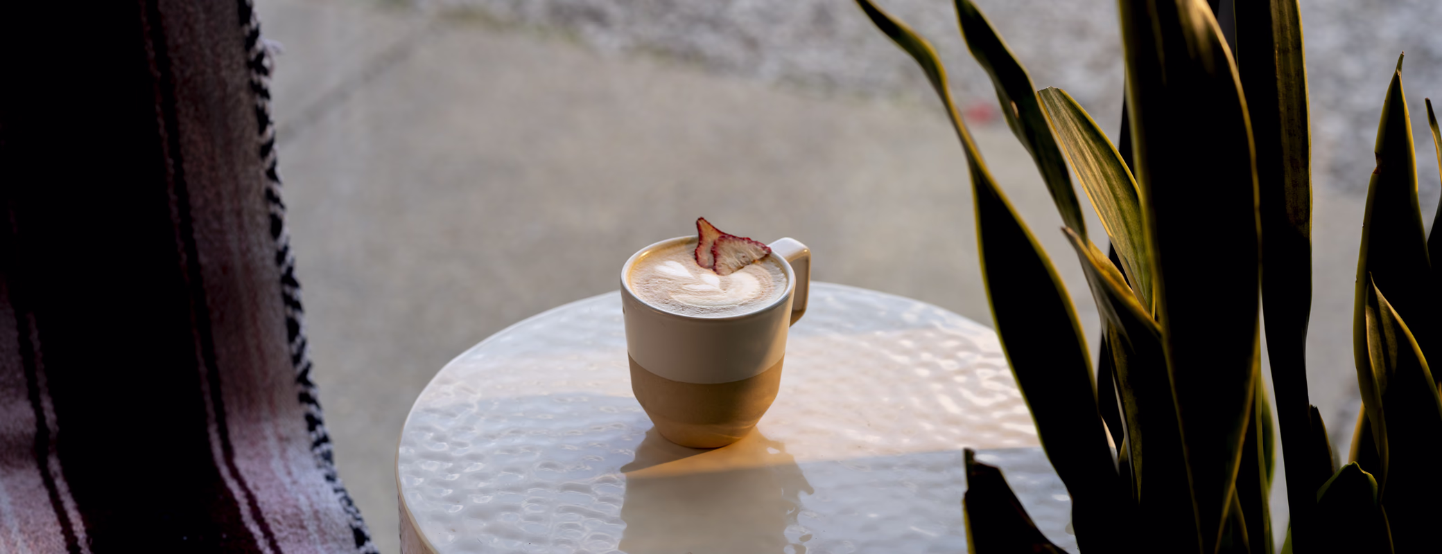 Latte on a hammered metal table beside a snake plant at Dawn cafe in downtown Nashville