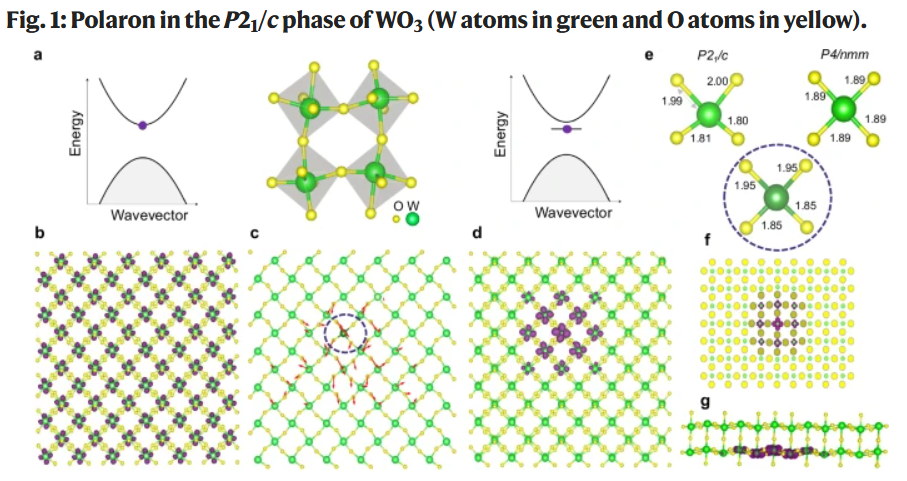 The antidistrotive polaron as an aternative mechanism for lattice mediated charge trapping