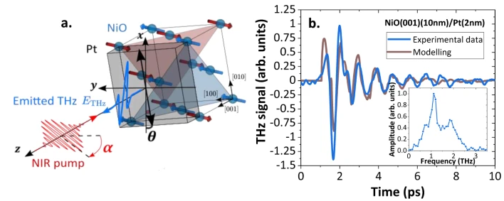 Emission of coherent THz magnons in an antiferromagnetic insulator triggered by ultrafast spin–phonon interactions