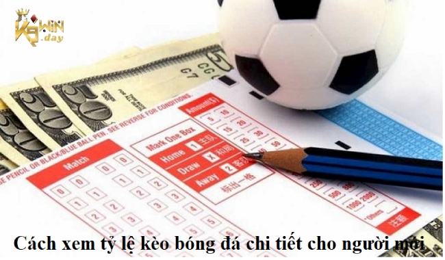 Hướng dẫn xem tỷ lệ kèo bóng đá chi tiết và dễ hiểu nhất