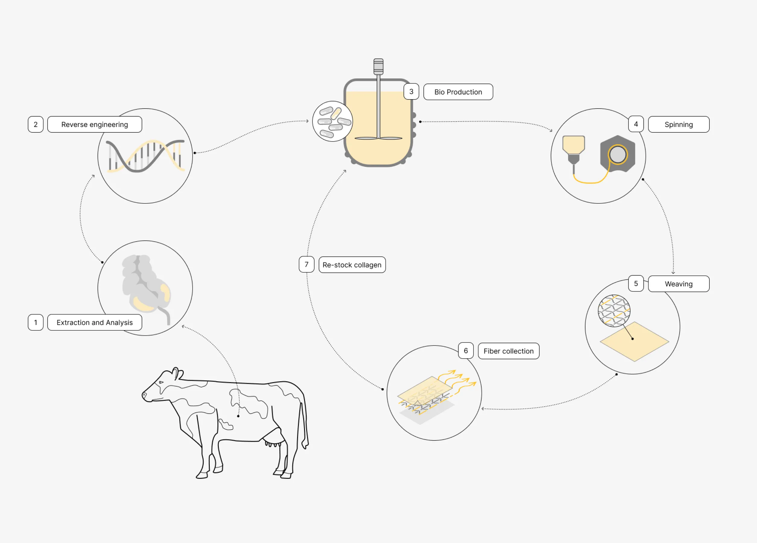 the process of collagen textile bio-production, from the material analysis to the recirculation of the material is shown in a system map