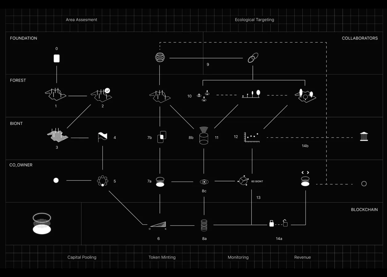 System map for a sustainable reforestation strategy backed by the blockchain