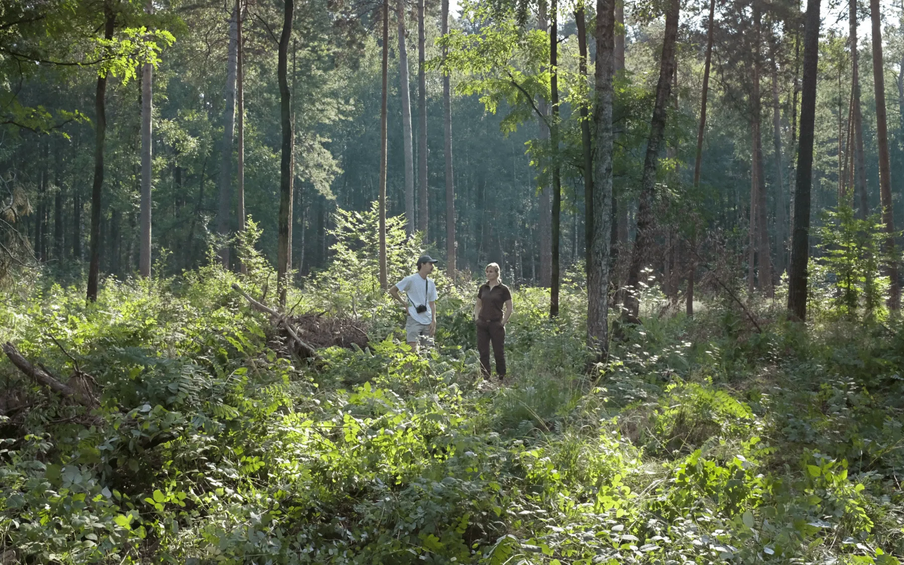 Two people standing in a reforestation area