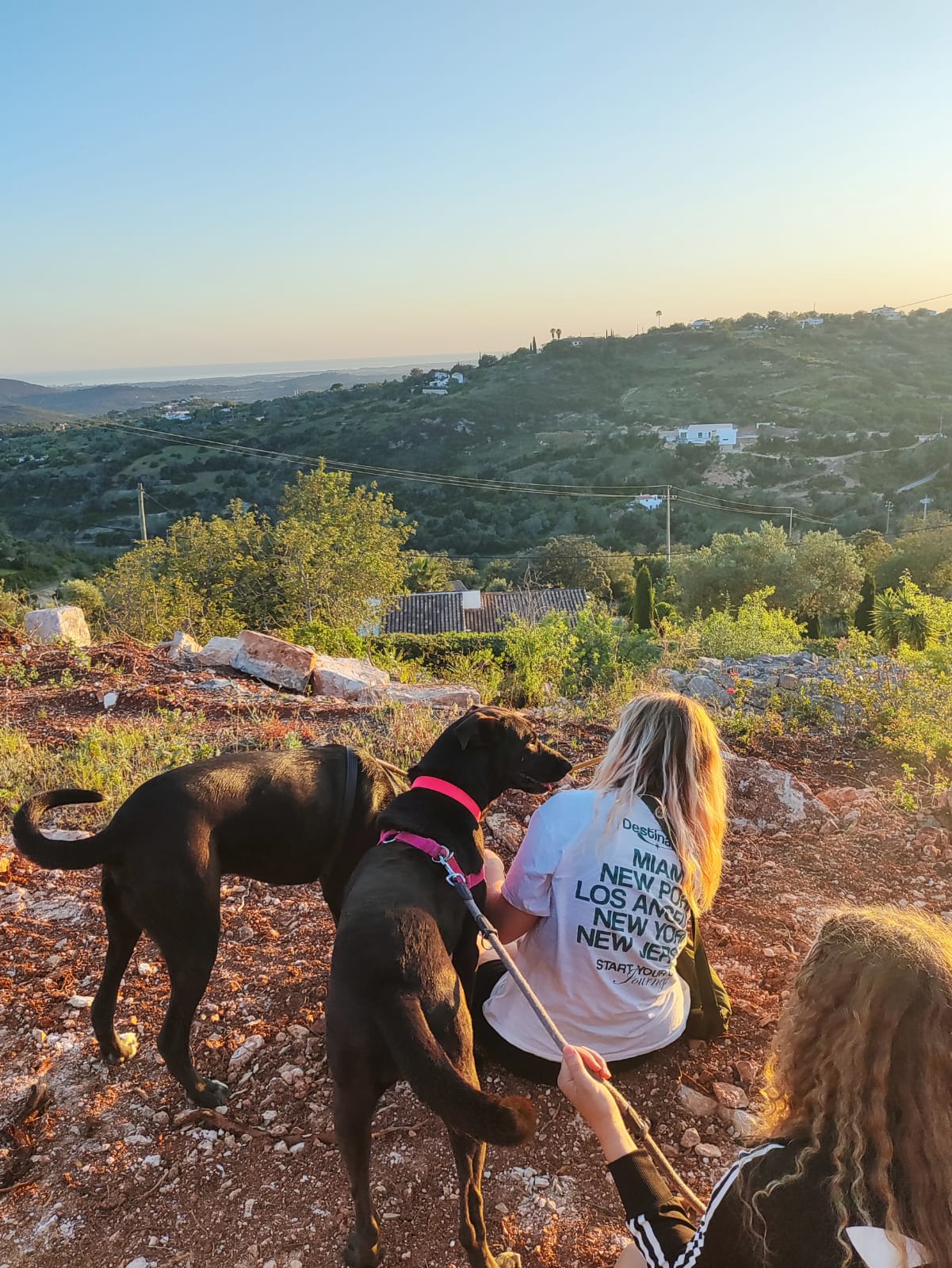 Two black dogs with pink collars beside two people sitting on rocky ground overlooking a green hilly landscape at sunset.