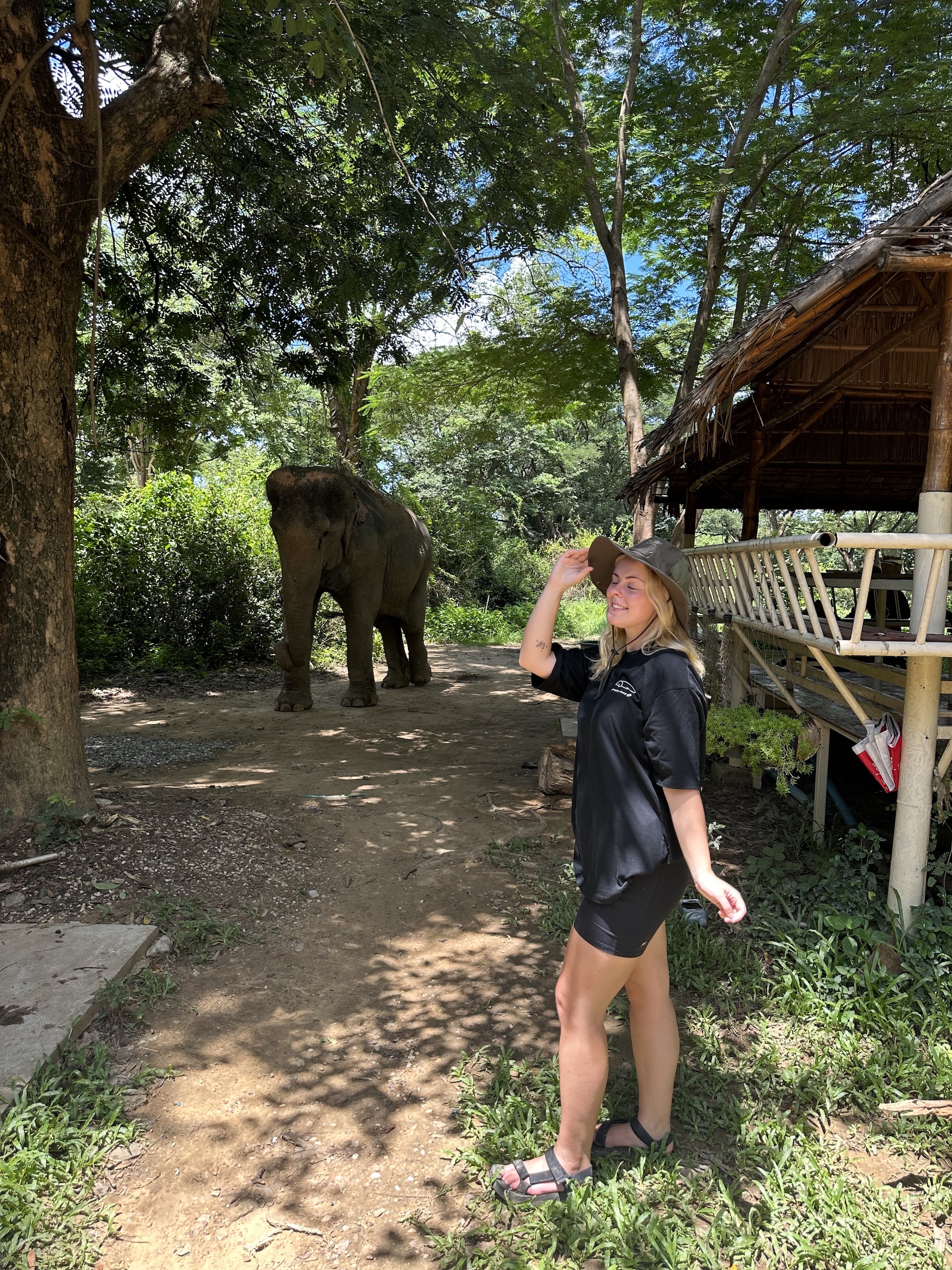 Woman wearing a hat and black outfit standing on a dirt path near a small elephant in a green forested area with a wooden shelter.