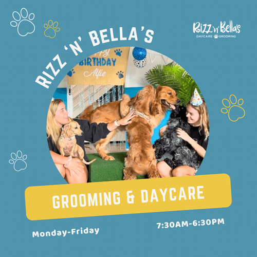 Two women interacting with several dogs at a daycare, with text promoting Rizz 'n' Bella's grooming and daycare services and hours Monday to Friday 7:30AM-6:30PM.