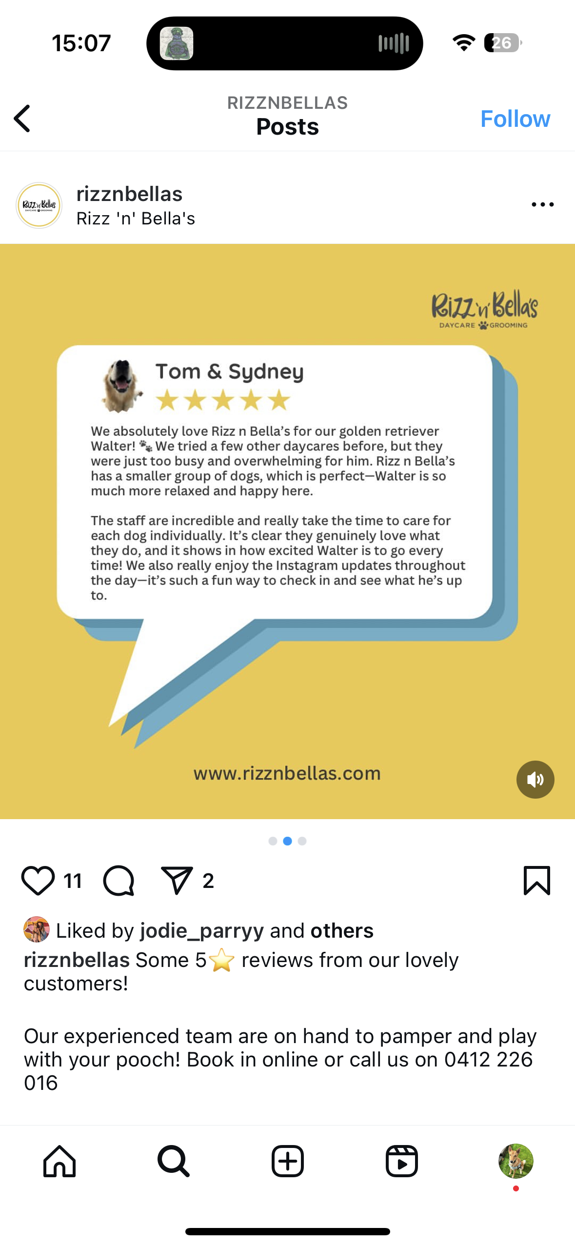 Instagram post from Rizz 'n' Bella's featuring a five-star review by Tom & Sydney praising the daycare for caring for their golden retriever Walter, highlighting the smaller dog groups, individual care, and Instagram updates.