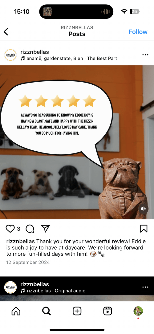 Instagram post from rizznbellas showing a dog statue in a tuxedo with a speech bubble containing a 5-star review about Eddie loving daycare, and a blurred photo of three dogs in the background.