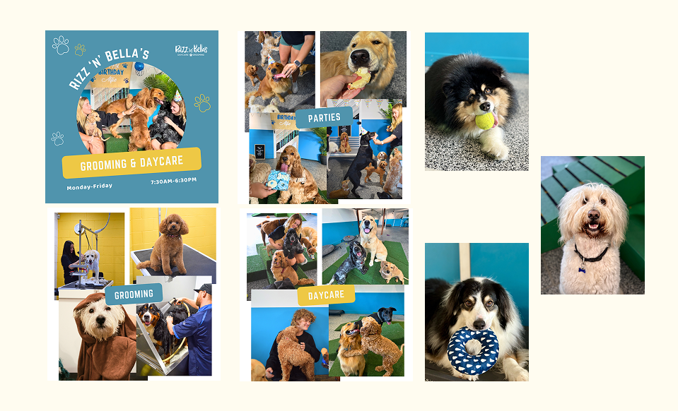 Collage of photos showing dogs in grooming, daycare, and birthday party settings at Rizz 'N' Bella's daycare and grooming facility.