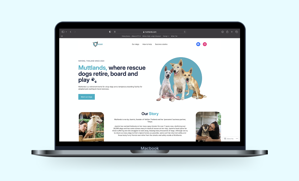 Website homepage on a MacBook showing Muttlands, a rescue dog retirement and boarding facility in Thailand, with images of three dogs and text about their story.