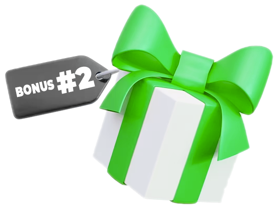 White gift box wrapped with a green ribbon and bow, labeled with a black tag reading 'BONUS #2'.